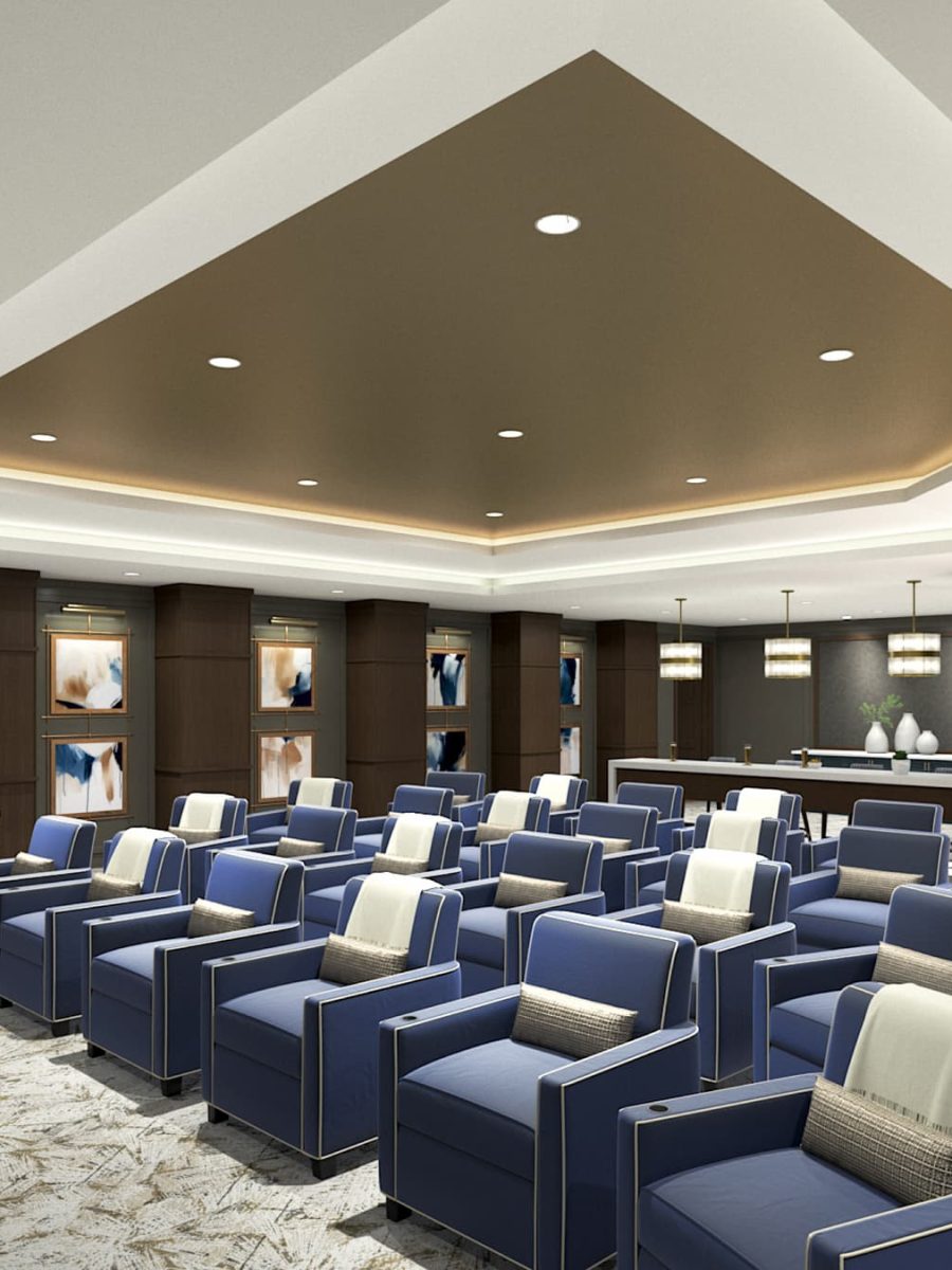 Private Screening Theater